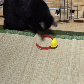 ドラえもんの鈴だーい嫌いの画像