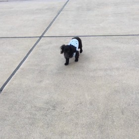 暑い・・けど元気ですの画像