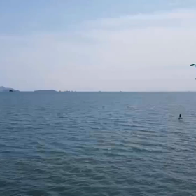 2020 04 11 ドローン映像の画像