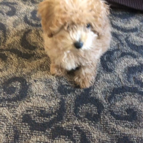 ☆むう、ボール覚えました！☆の画像