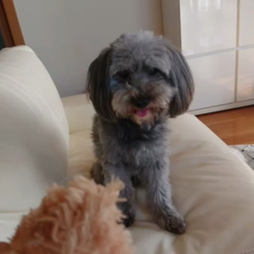 今朝の空さんの画像