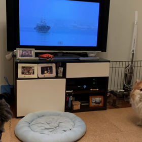 音のソノリティの画像