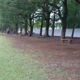 リレー自主練習(男子A)②の画像