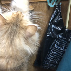 「ちょーだい」って笑の画像