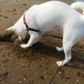 ほりほり～の画像