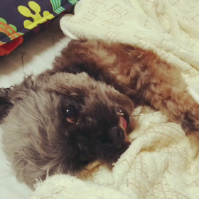 かわいいの画像