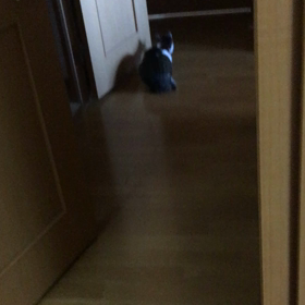 箱根駅伝より、ジム？  えーー昨年とは違うデール…？の画像