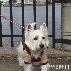 江ノ島へ 2の画像