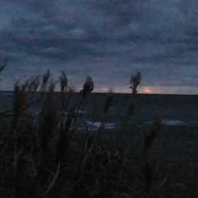 ラジオ体操楽しかったです。の画像