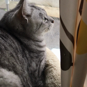 クラッキングの画像