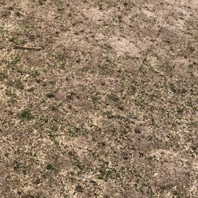 いい天気の画像