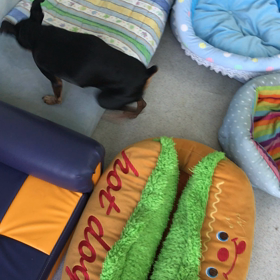 ♪プレイルーム動画♪の画像