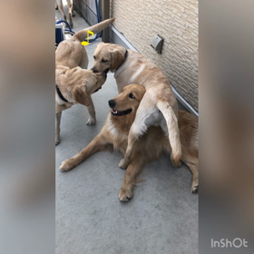 今日は雨だけどの画像