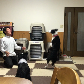 風船バレーの画像