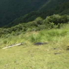 パラグライダーの日にの画像