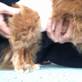 病院リハビリ2回目の画像