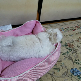 わかってるね！の画像