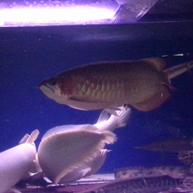 毎日が憂鬱❓の画像