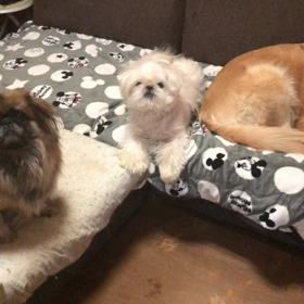 久しぶり〜の画像