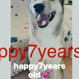 happy birthday！の画像