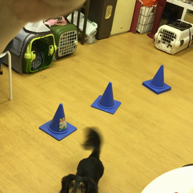 ケツじゃなくてレイチを見てね。の画像