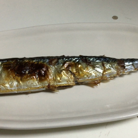仕事おわりの秋刀魚の画像