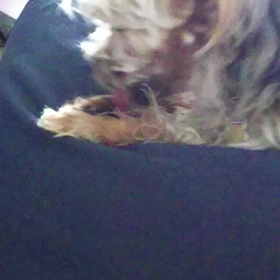 手を洗い顔を洗うの画像