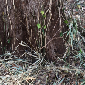 探索動画。つまらない動画。の画像