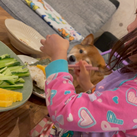 ふたり手巻き寿司ムービーの画像