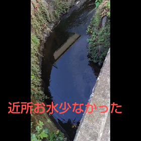 はいチーズの日、いまもそういう写真撮り方してるかな？(￣ー￣)ﾆﾔﾘの画像