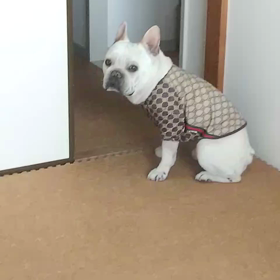 伝えたいことがある時はの画像