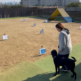 合同練習会の画像