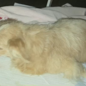 凄く我慢してたんだなぁ…の画像