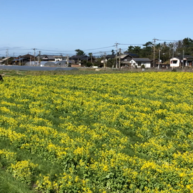 5万の画像