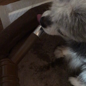 ありがとうm(_ _)mの画像