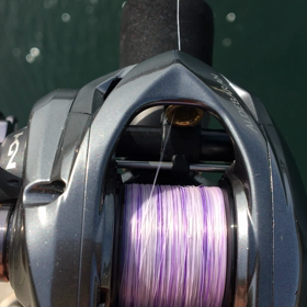 <ソルトベイトフィネス> キャスティング成功の秘訣　アジングの画像