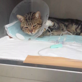 こんな時期があって今が有るﾆｬ～♪の画像