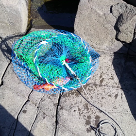 休みの度に時化模様です。の画像