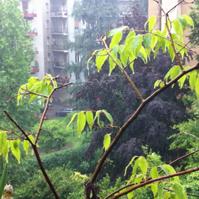 雨の臨場感の画像