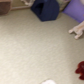 ボール遊びの画像