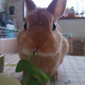 生中継ŧ‹"ŧ‹"ŧ‹"ŧ‹"♡の画像