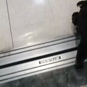 お泊まり　よつばちゃんの画像