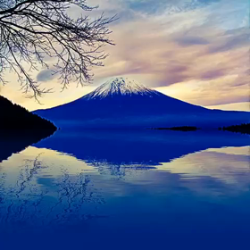 2016 ありがとうございました。の画像