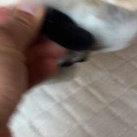 朝から元気の画像