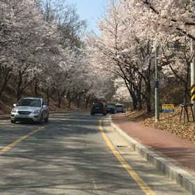 コロナ騒動で学んだことの画像