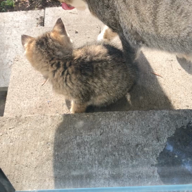 ログインしましたの画像