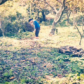 アプローチ対決の画像