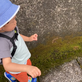 1y9m25d   指しゃぶり。の画像