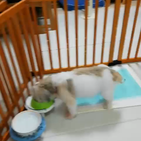 マイペースないっくんの画像