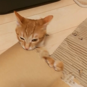 ストレス発散の画像